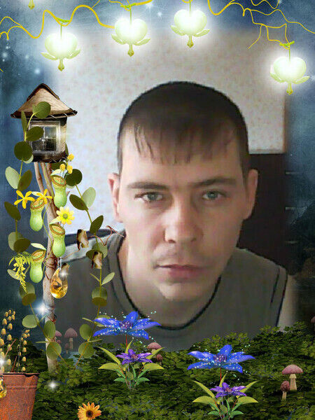 ���������� ������, ���� ������� ����, 43 ����, ������������ ��� ������, ����� � ���������