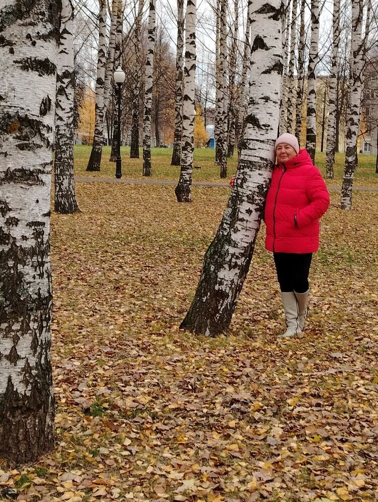 ���������� �����, ���� ������� �������, 72 ����, ������������ 