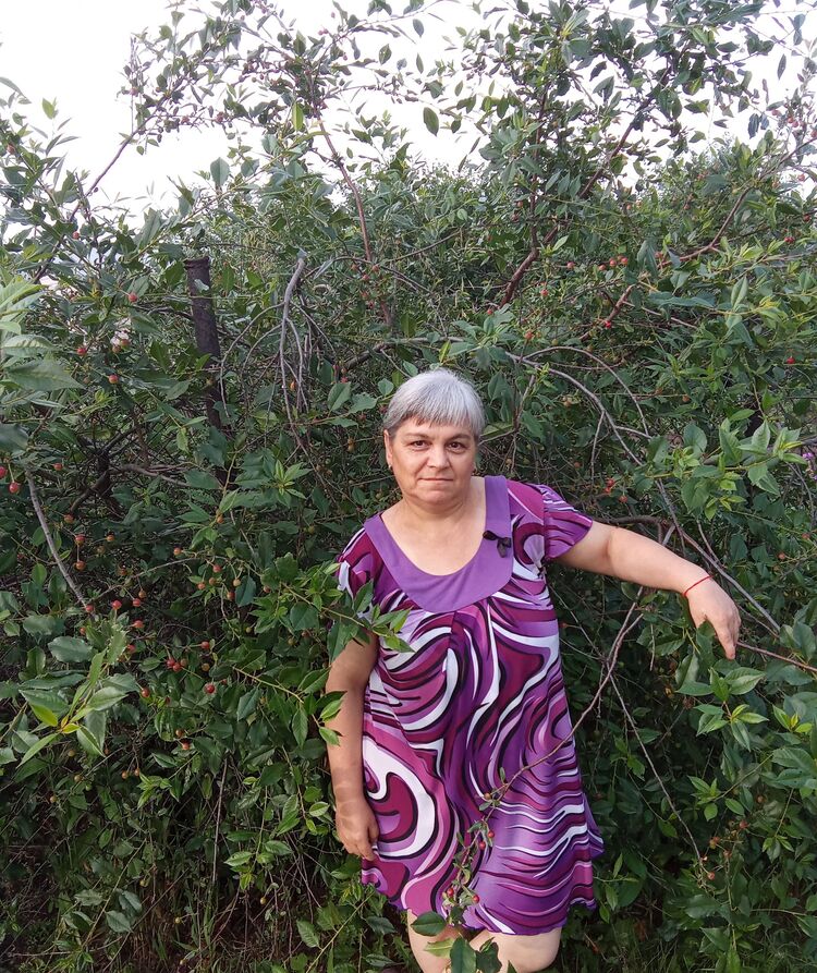 ���������� ���������, ���� ������� �����, 51 ���, ������������ ��� ������, ����� � ���������