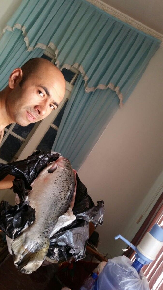  ,   Hoja, 44 ,   ,   , c 