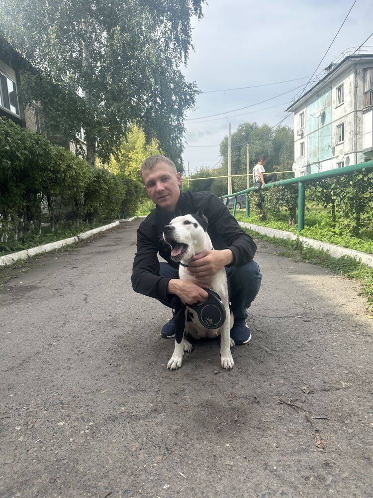 ���� 55535214 ������� ����, 34 ����, ���� ���������� � ��������������