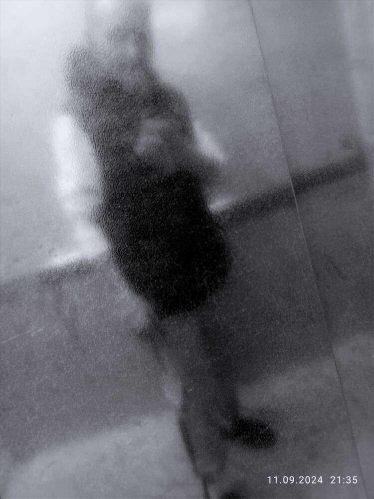  46309104  , 26 ,    