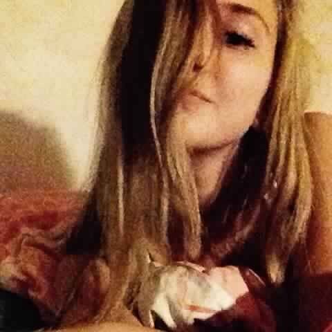  --,   , 28 ,   ,   , c 