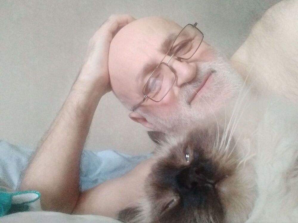  43255294  , 55 ,    -