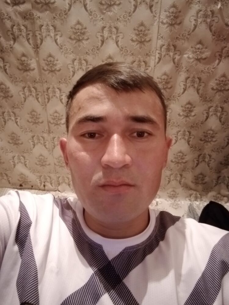  30658044  , 31 ,    -