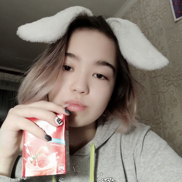  19703844  , 23 ,    