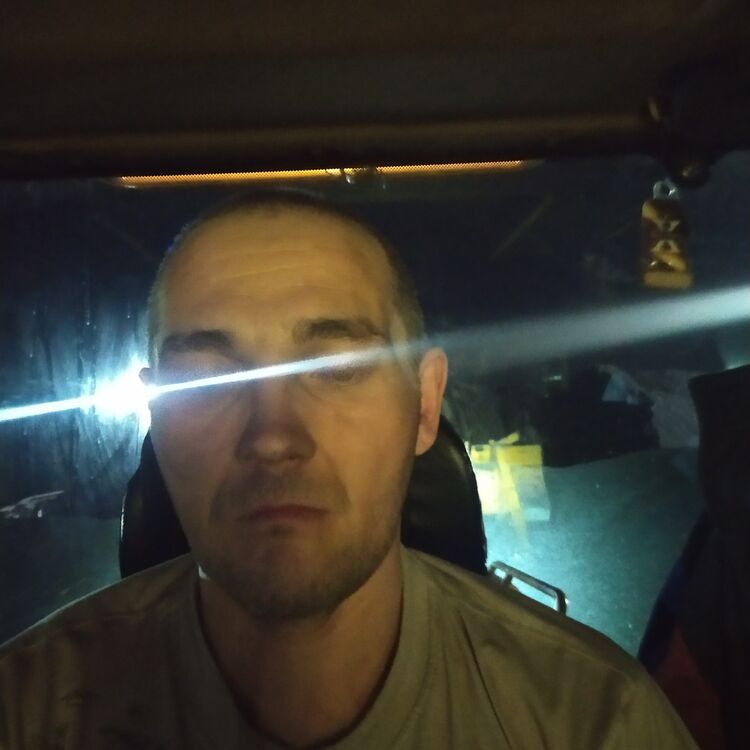 ���� 33390074 ������� ����, 43 ����, ���� ���������� � ������������