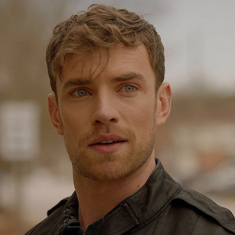  53302374  , 28 ,    -