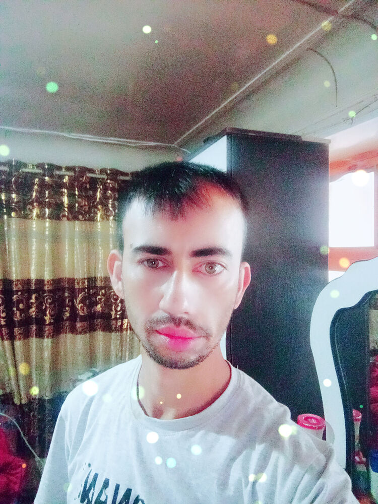  27181084  , 33 ,    