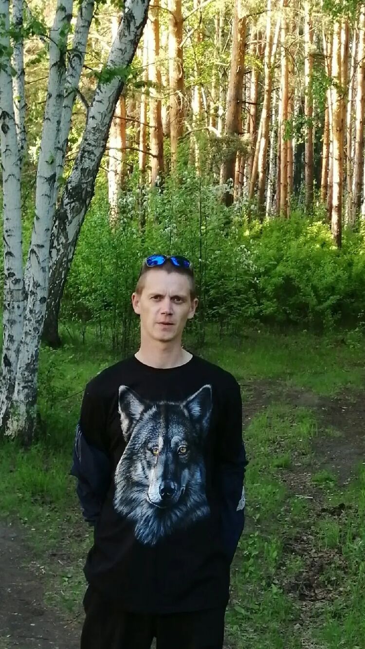  45053464  , 37 ,    