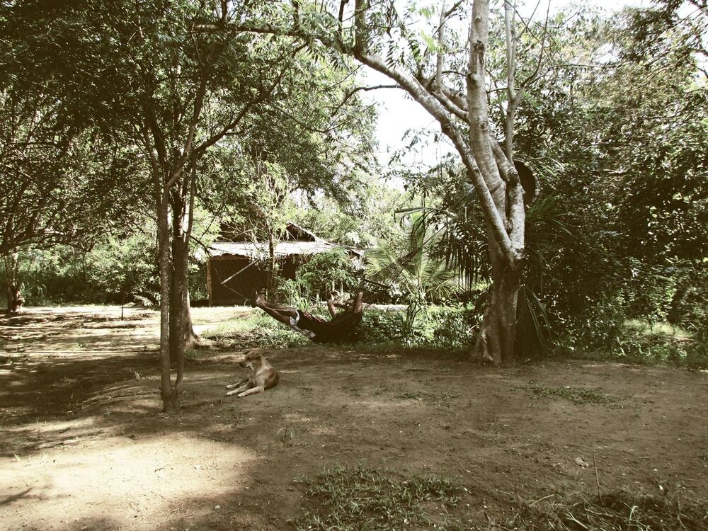  6690954  Falcon 27, 40 ,    