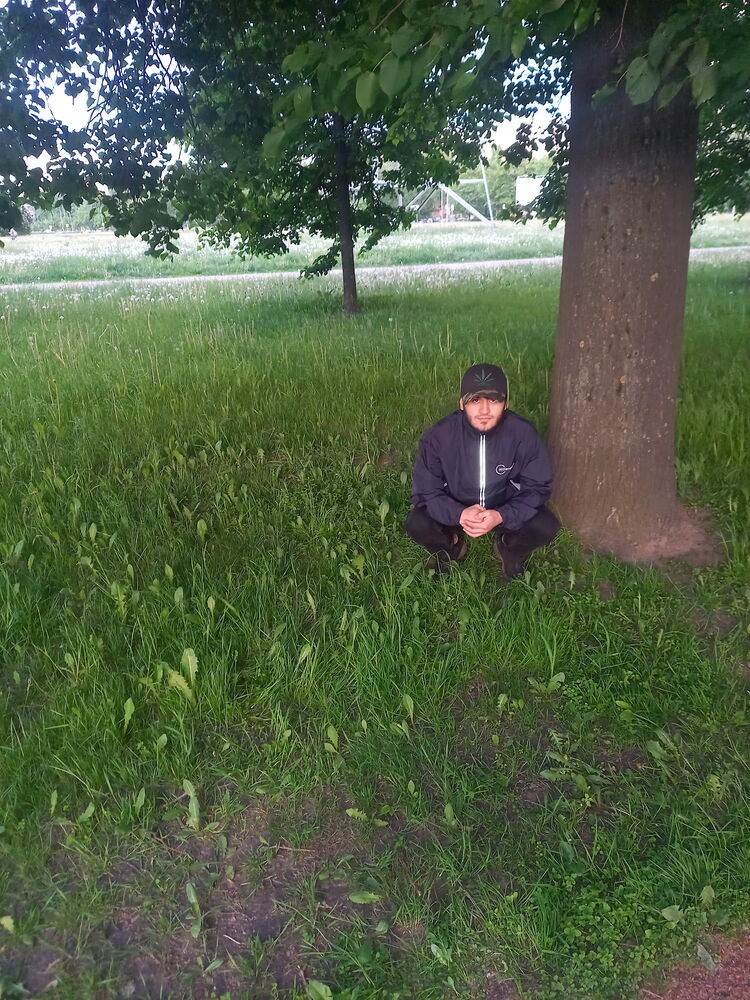  27043984  King, 30 ,    -