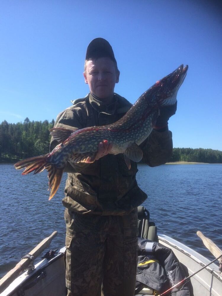 ���� 54314084 ������� �����, 56 ���, ���� ���������� � �������