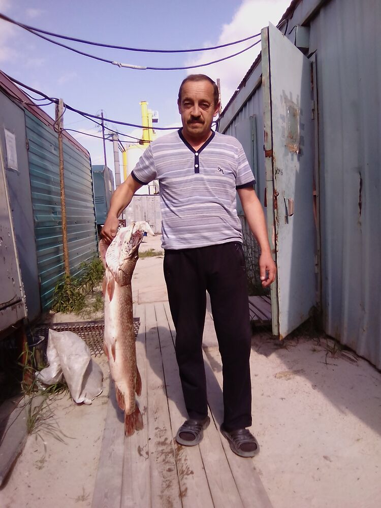 ���� 54526464 ������� ���������, 53 ����, ���� ���������� � �������