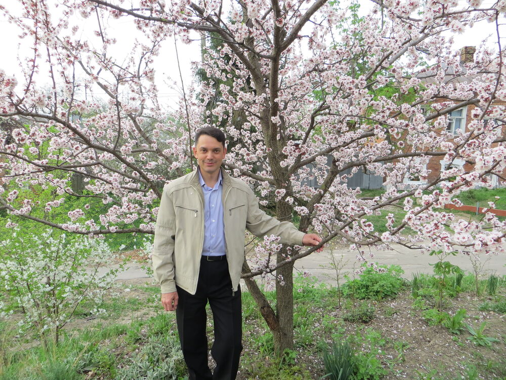 ���������� ����, ���� ������� ���������, 52 ����, ������������ ��� ����� � ���������, c�������� ���������