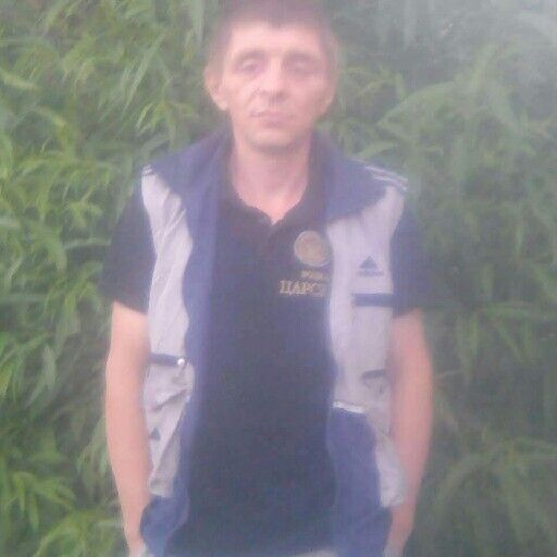  23843554  , 48 ,    -