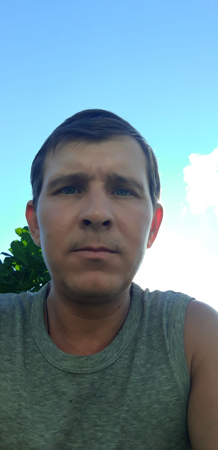  31588334  , 42 ,    -