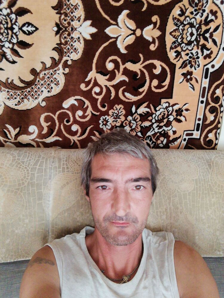  28242154  , 43 ,    
