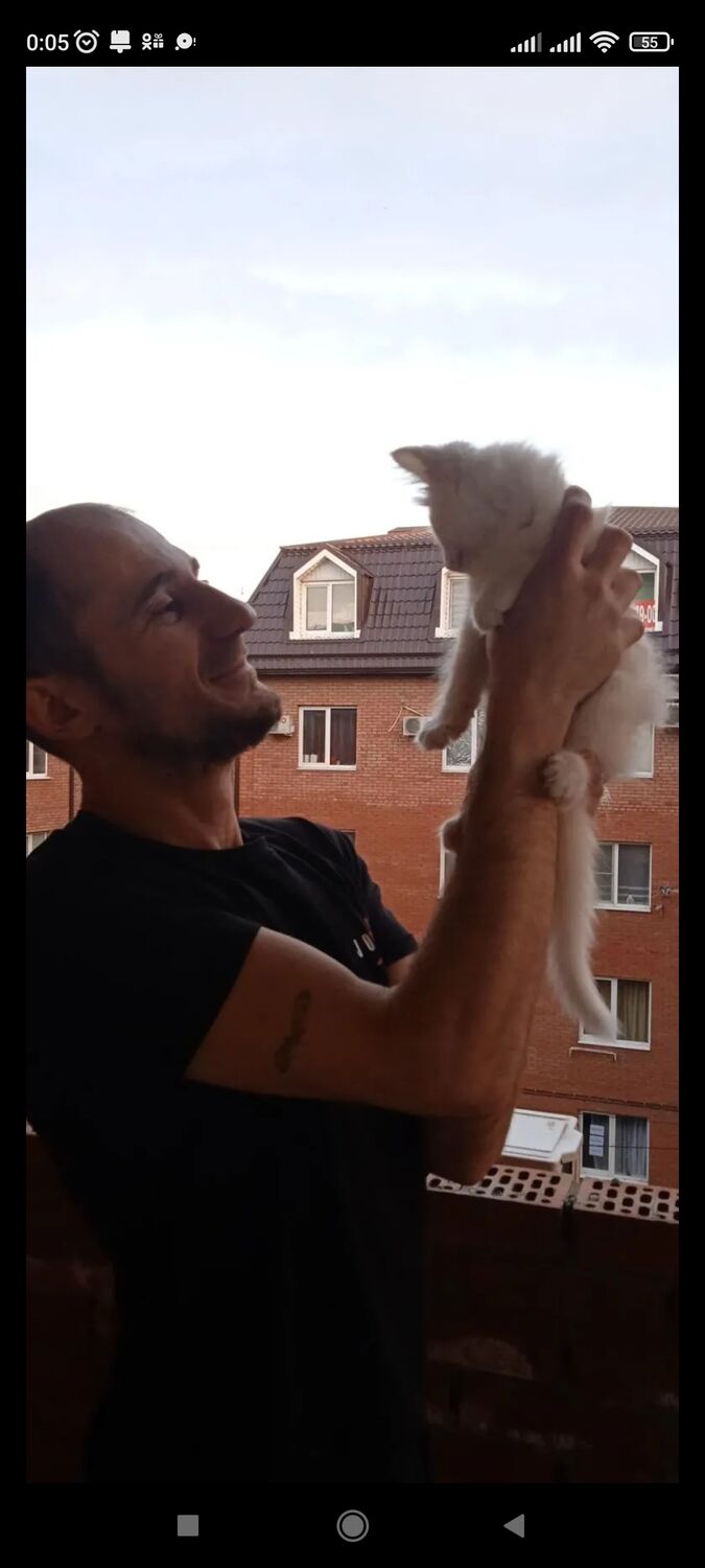  ,   , 41 ,   ,   , c 