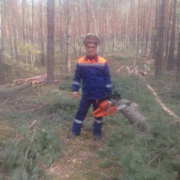  16810294  , 43 ,    