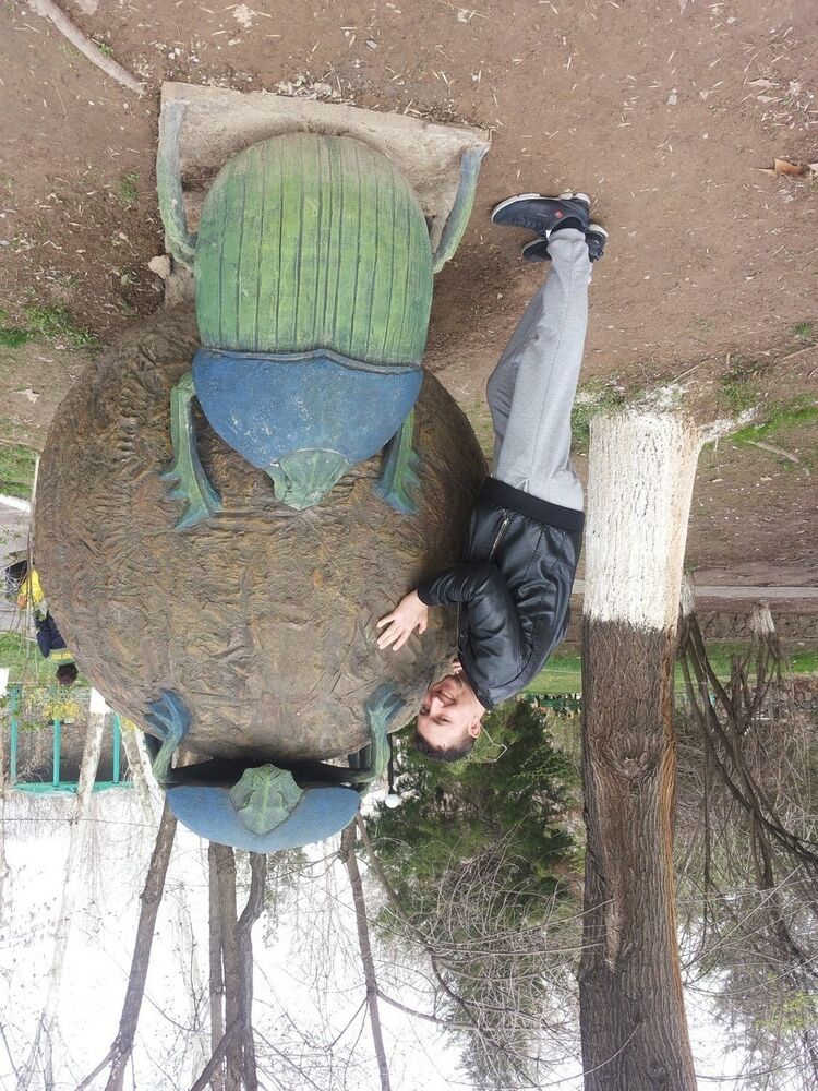 ���������� �������, ���� ������� ���, 36 ���, ������������ ��� ������, ����� � ���������, c�������� ���������