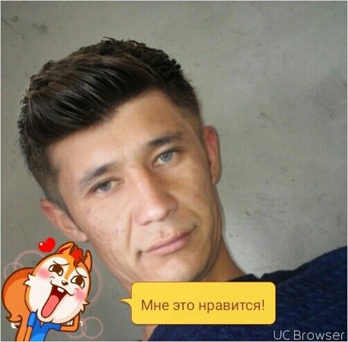  12597034  , 35 ,    