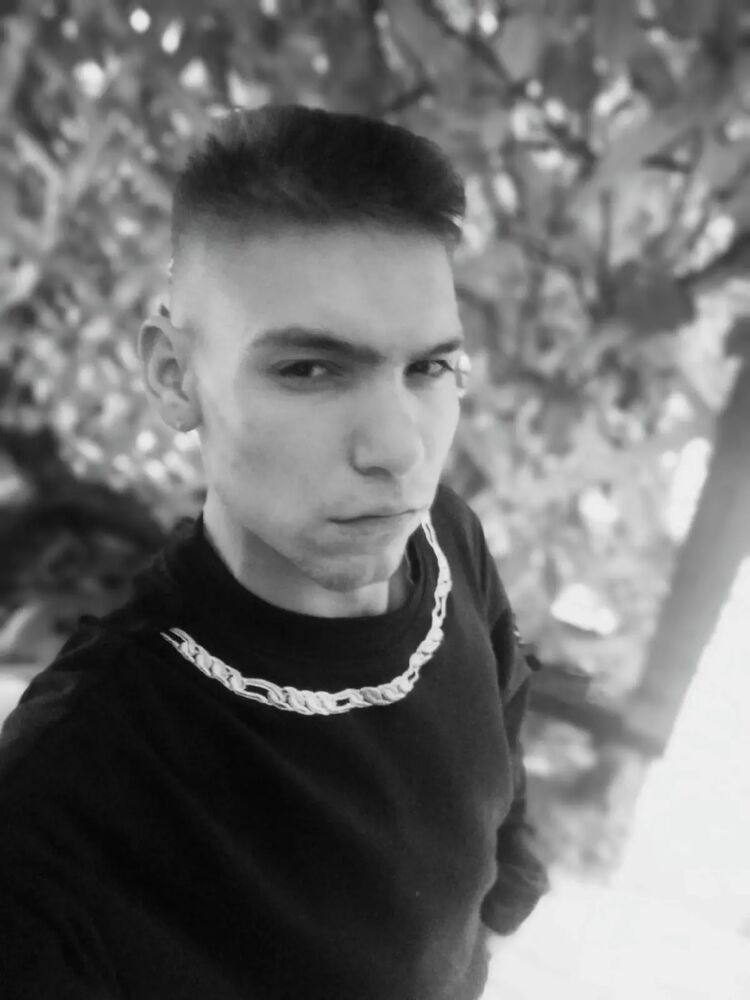  37823204  , 24 ,    