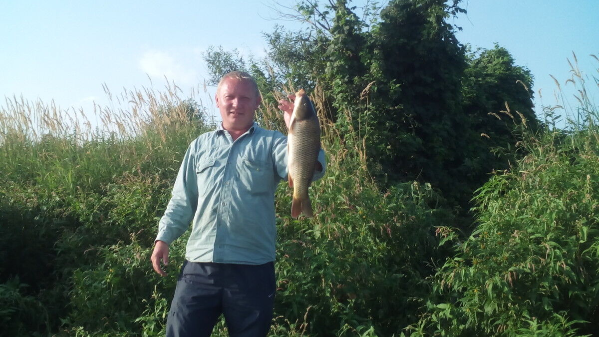  8453464  , 42 ,    -