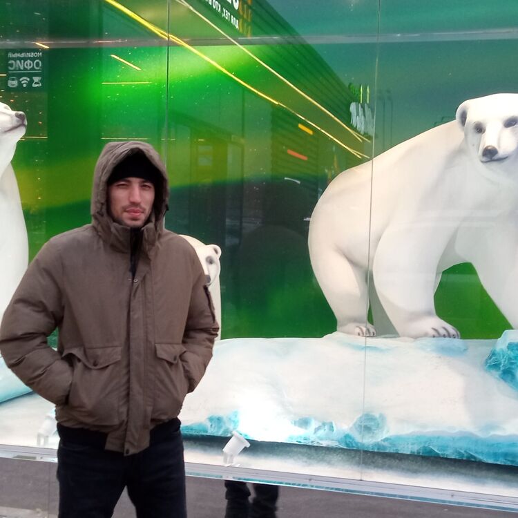 ���� 40489124 ������� �������, 33 ����, ���� ���������� � �����-����������