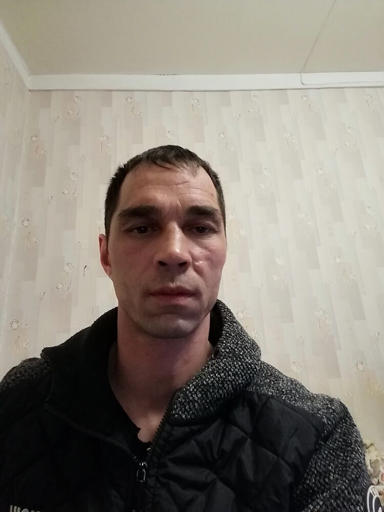  31565944  , 43 ,    