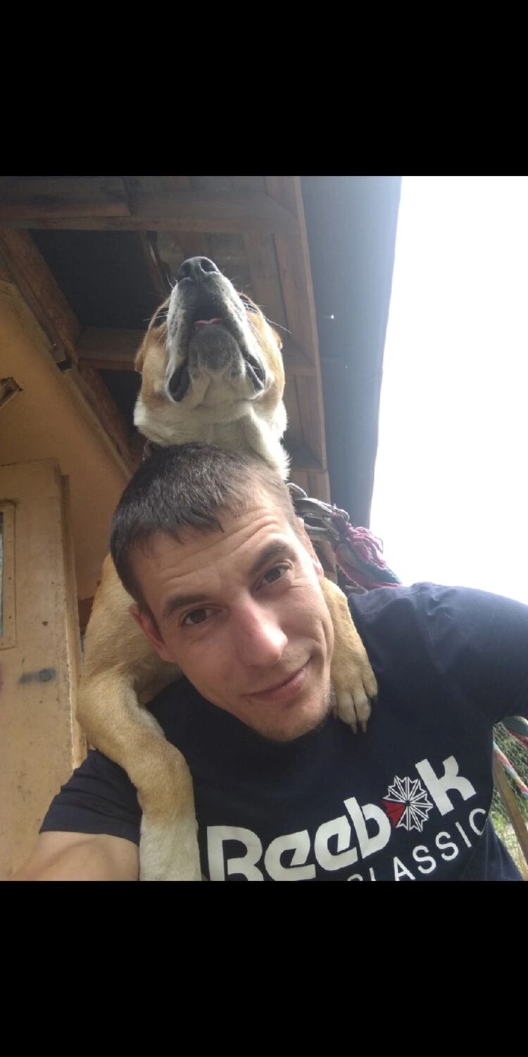 ���� 25636624 ������� StaFFord, 34 ����, ���� ���������� � �����-����������