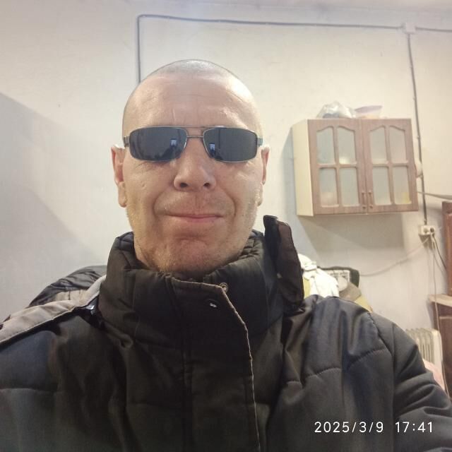  50229454  , 43 ,    -