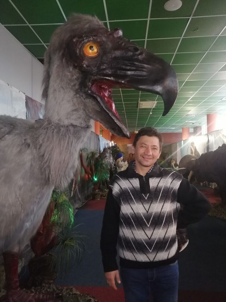  19075224  , 50 ,     