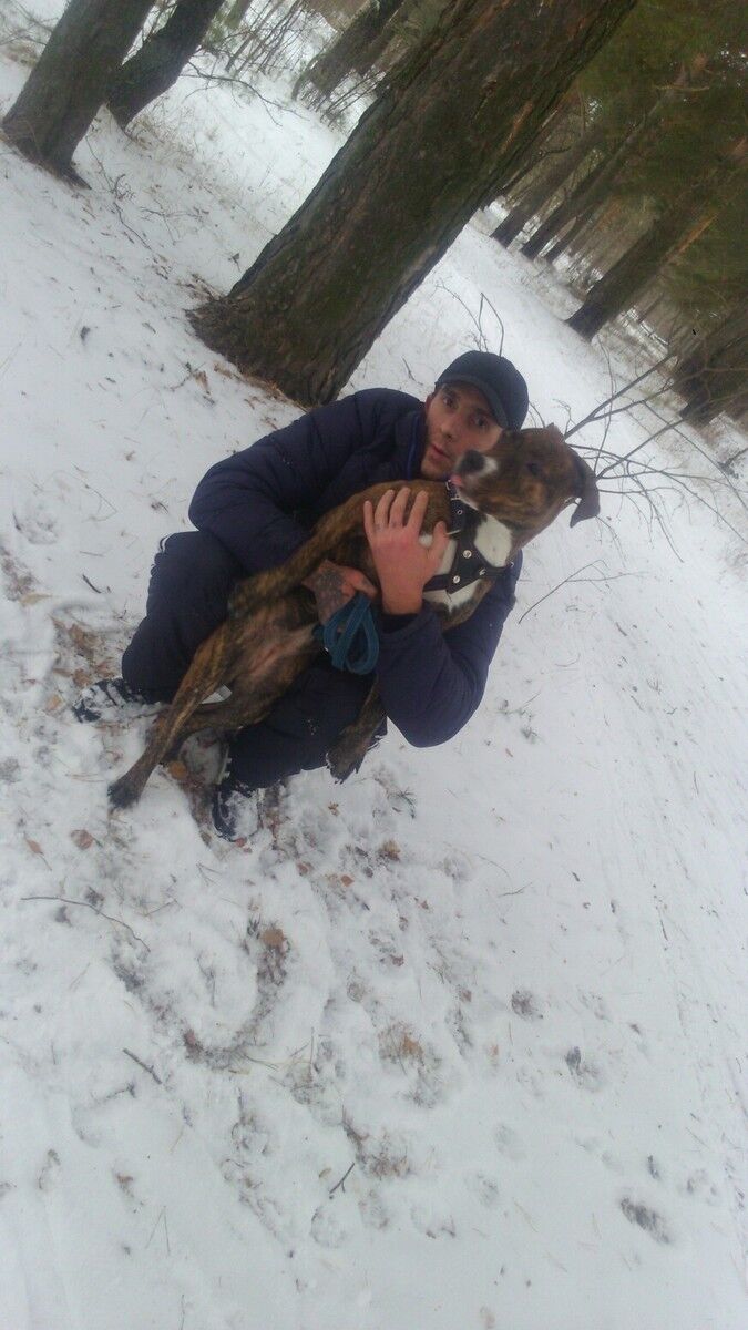 ���� 15043984 ������� ����, 42 ����, ���� ���������� � ������ ���������