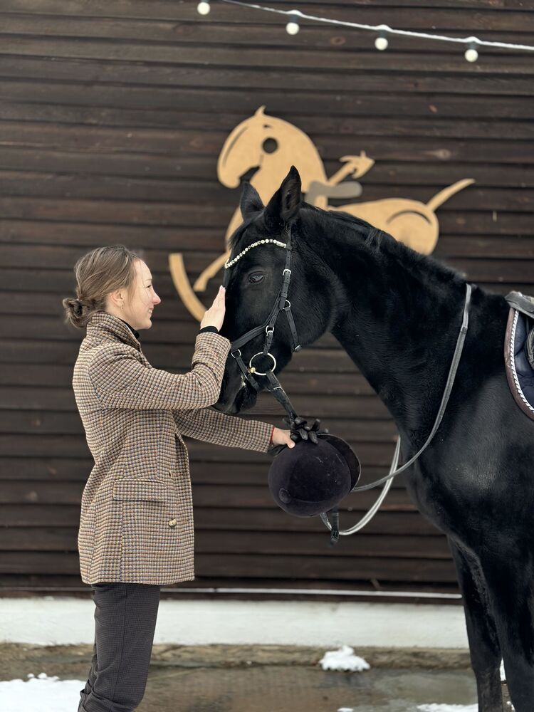 ���������� ������, ���� ������� ����, 36 ���, ������������ 