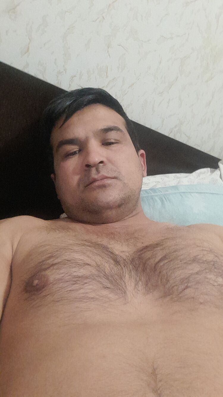  31621424  , 41 ,    