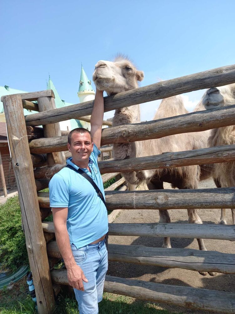 ���� 45030354 ������� �����, 43 ����, ���� ���������� � �����