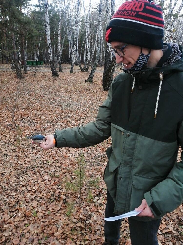 ���������� ����, ���� ������� �������, 28 ���, ������������ ��� ������, ����� � ���������, c�������� ���������