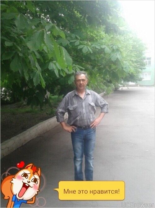  9596354  , 56 ,     