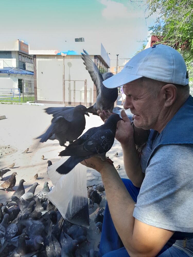 ���� 38507734 ������� ����, 50 ���, ���� ���������� � ��������