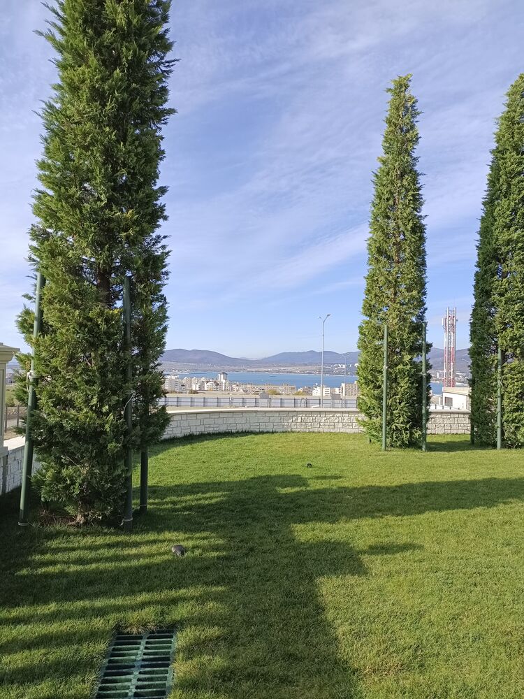 ,   , 44 ,   c 