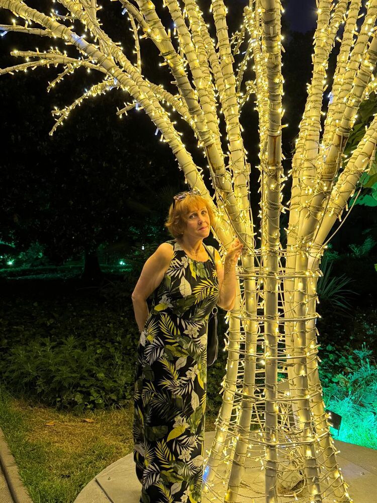 ���������� ����, ���� ������� �����, 60 ���, ������������ ��� ������, ����� � ���������