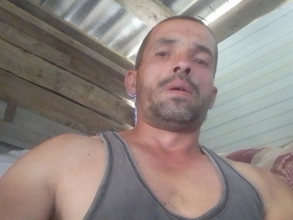 ���� 54808234 ������� ���������, 36 ���, ���� ���������� � �������-��-����