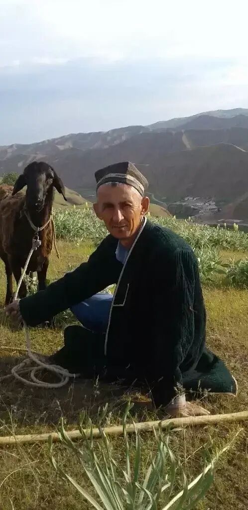 ���� 35656844 ������� �����, 30 ���, ���� ���������� � ��������