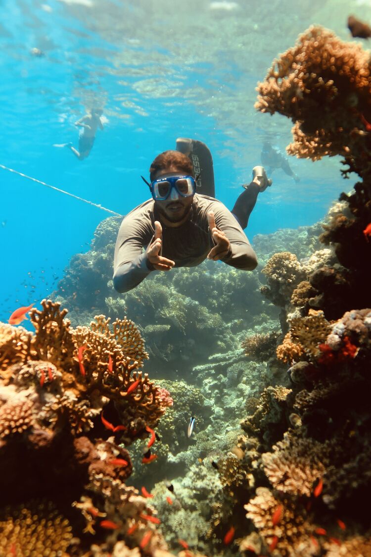 ���������� ������������, ���� ������� �����, 29 ���, ������������ ��� ������, ����� � ���������