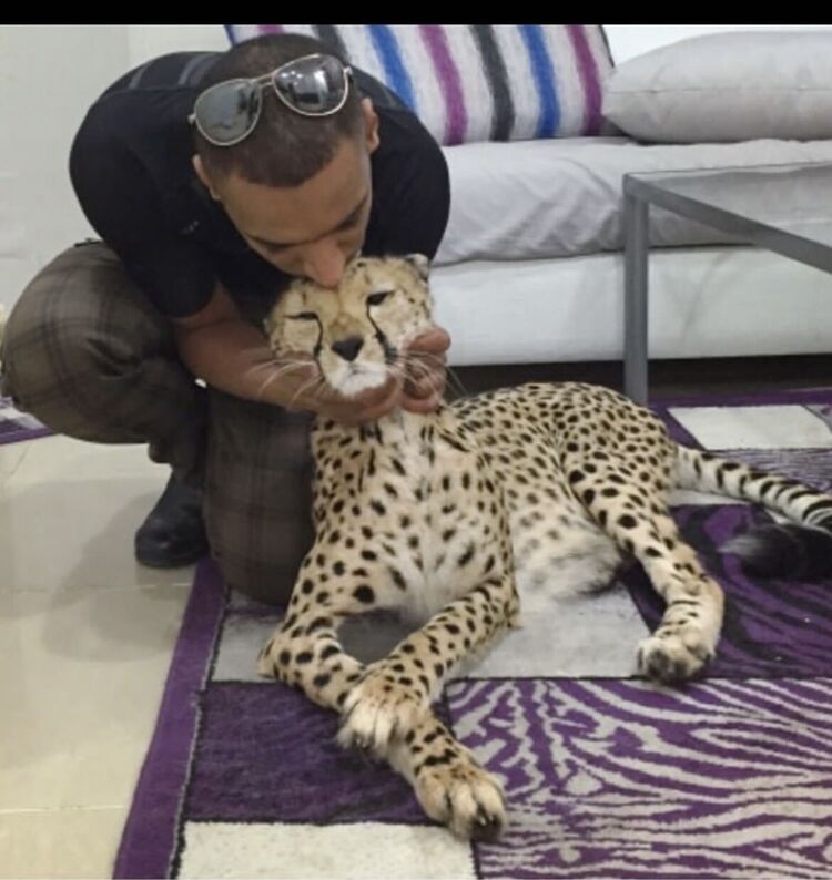 ���������� ������, ���� ������� ������, 33 ����, ������������ ��� ������, ����� � ���������