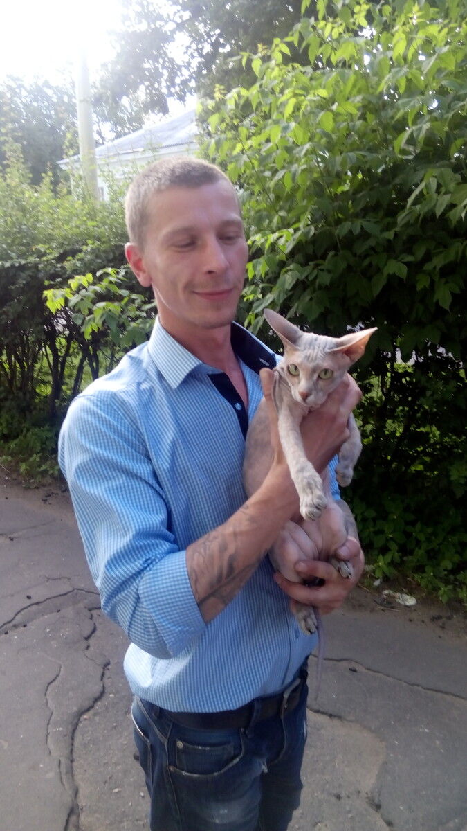 ���� 7832414 ������� ������, 44 ����, ���� ���������� � ������