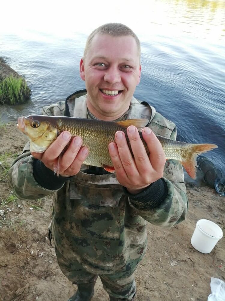 ���������� ������, ���� ������� ���������, 51 ���, ������������ ��� ������, ����� � ���������, c�������� ���������