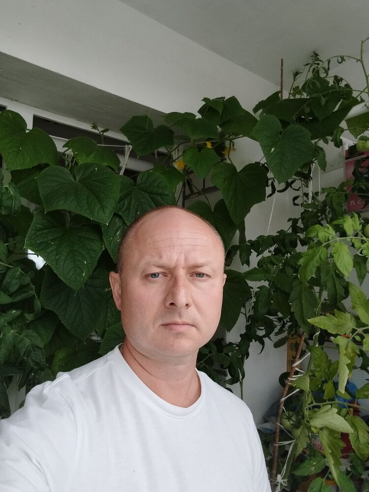  45051714  , 44 ,    
