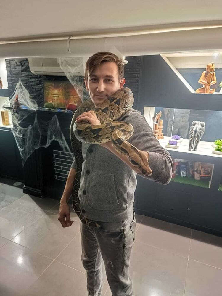 ���������� �����-���������, ���� ������� �����, 32 ����, ������������ ��� ������, ����� � ���������, c�������� ���������